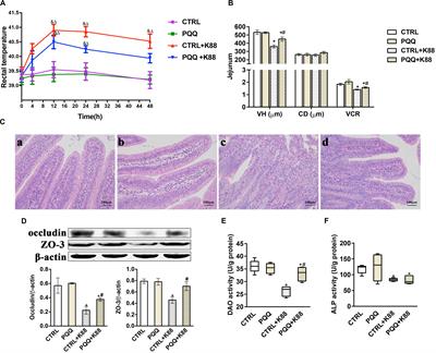 Pyrroloquinoline Quinone Alleviates Jejunal Mucosal Barrier Function Damage and Regulates Colonic Microbiota in Piglets Challenged With Enterotoxigenic Escherichia coli